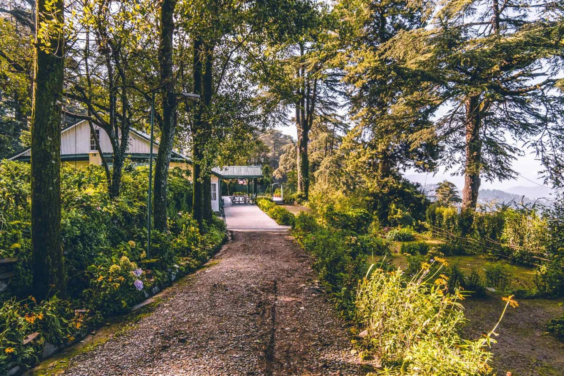 Stayvista At Rose Cottage - Bonfire & Scenic View Шимла Экстерьер фото